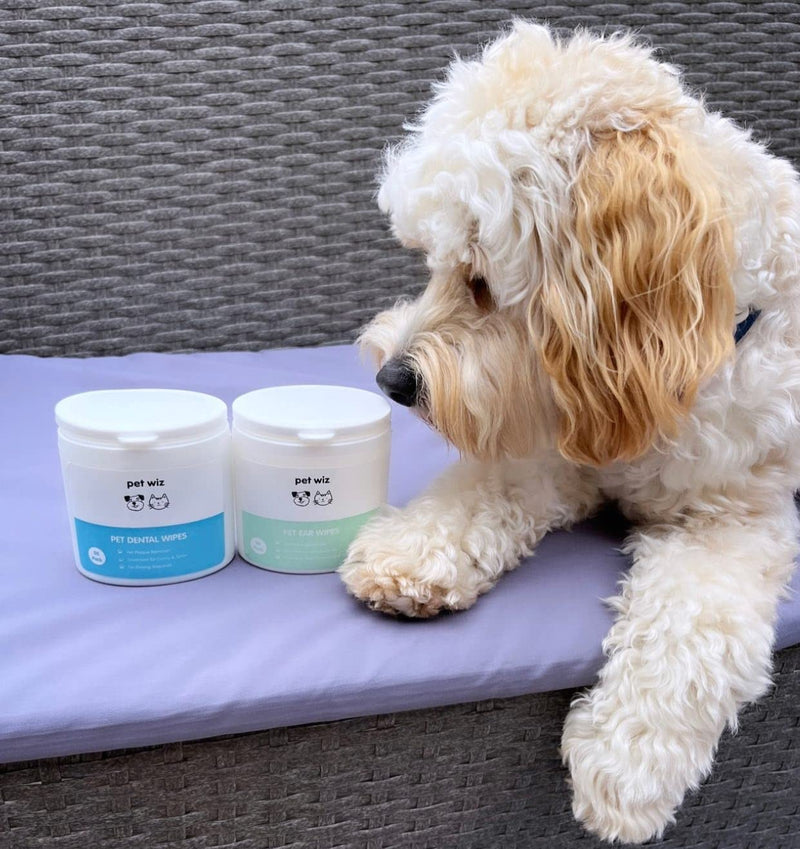 pet wiz Ear Wipes for Dogs & Cats. Clean, Soothe & Deodorise with Natural Active Ingredients Aloe Vera, Witch Hazel, Tea Tree Oil and Blue Chamomile Extract
