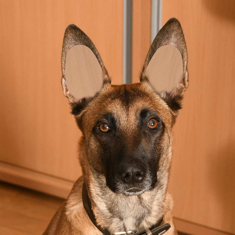 VANZACK 10x5cm Extra Large Doberman Ear Posting Stickers - Medical Grade Support System with Adhesive Backing for Adult Dog Ear Training & Care 10.00X5.00X0.10CM