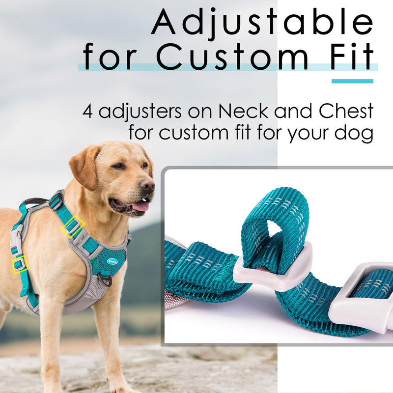 ThinkPet Anti-Pull Dog Harness, Dog Harness with Handle, Easy to Control Dog Harness, Adjustable without Choking, Dog Harness, Reflective, Breathable, Padded (XL, Bright Teal) XL (Pack of 1) - BeesActive Australia