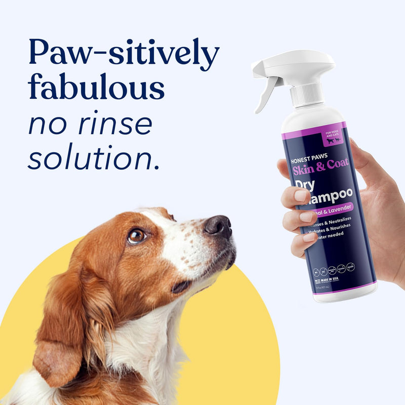 Honest Paws Dog Dry Shampoo - Waterless No Rinse Foaming Formula Reducing Itch Cleanse Hydrate Nourish Dry Skin and Smelly Coat Help Decrease Odor Shedding and Allergies - Oatmeal & Lavender - 8 oz Oatmeal & Lavender - 8oz - BeesActive Australia