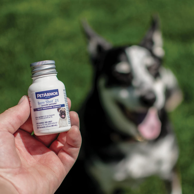 PetArmor Sure Shot Liquid De-Wormer for Dogs and Puppies, Liquid De-Wormer Treats Roundworms & Hookworms in Dogs and Puppies 2 Weeks and Older, For Dogs Under 120 lbs, 2 ounces - BeesActive Australia