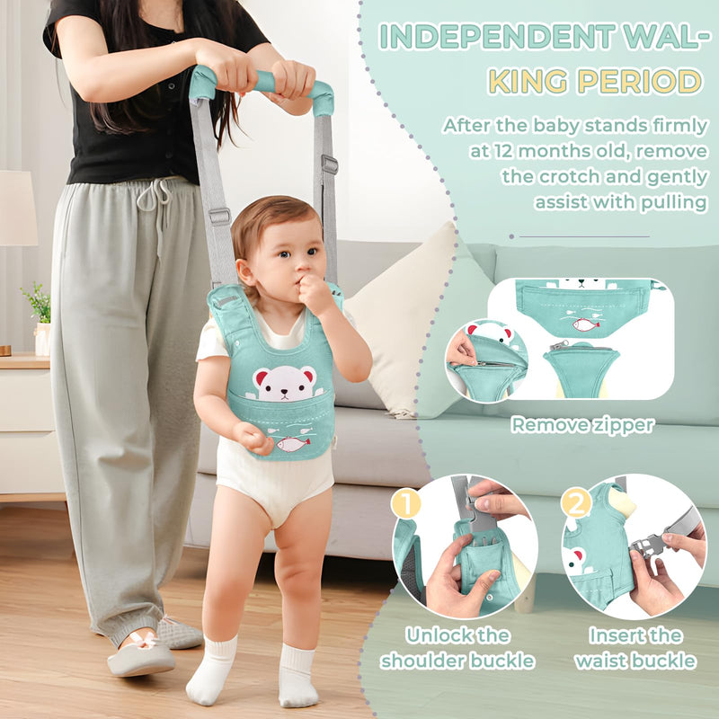 Baby Walking Harness, Handheld Baby Walking Helper for Toddlers with Detachable Crotch, Walk Support Assist Trainer Tool for 7-24 Month Old(Green) Green - BeesActive Australia