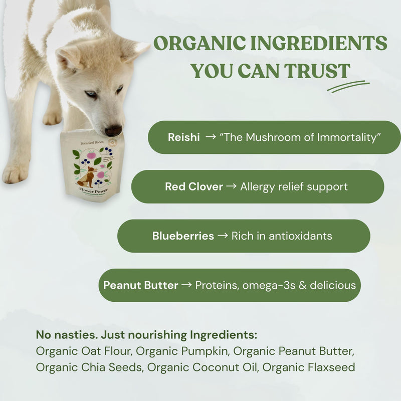 Flower Power Healthy Dog Treats - Mushroom Supplement Chews for Dogs with Reishi Mushroom & Antioxidants - Vet Formulated Vegan Peanut Butter Treats, 2 Pack Flower Power 4 Ounce (Pack of 2)