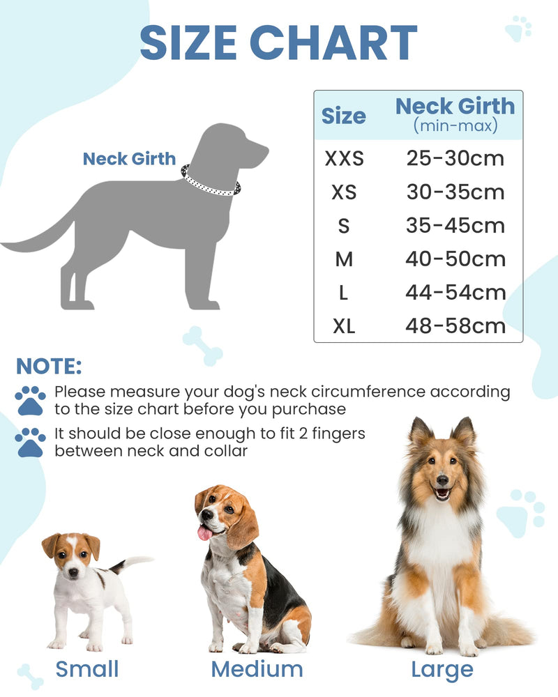 PETTOM Dog Collar Adjustable Nylon Dog Collar Breathable Reflective Collar (Blue L) Blue - BeesActive Australia