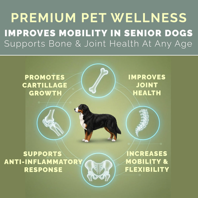 Nuzzle Pure Advanced Dog Hip and Joint Supplement with Glucosamine, Chondroitin, MSM, 80 Peanut Butter Flavor Soft Chews for Senior & All Ages, Human Grade, All Natural & Organic Ingredients.