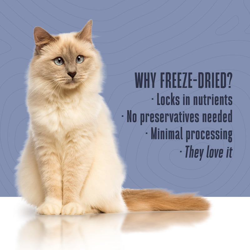 Whole Life Cat Living Treats for Cats – Human Grade Probiotics for Allergy & Itchy Skin Relief, Natural Digestive Support, Healthy Cat Snacks for Felines - Salmon & Yogurt, 1 oz (Pack of 2) Healthy Skin With Salmon & Yogurt 1 Ounce (Pack of 2)