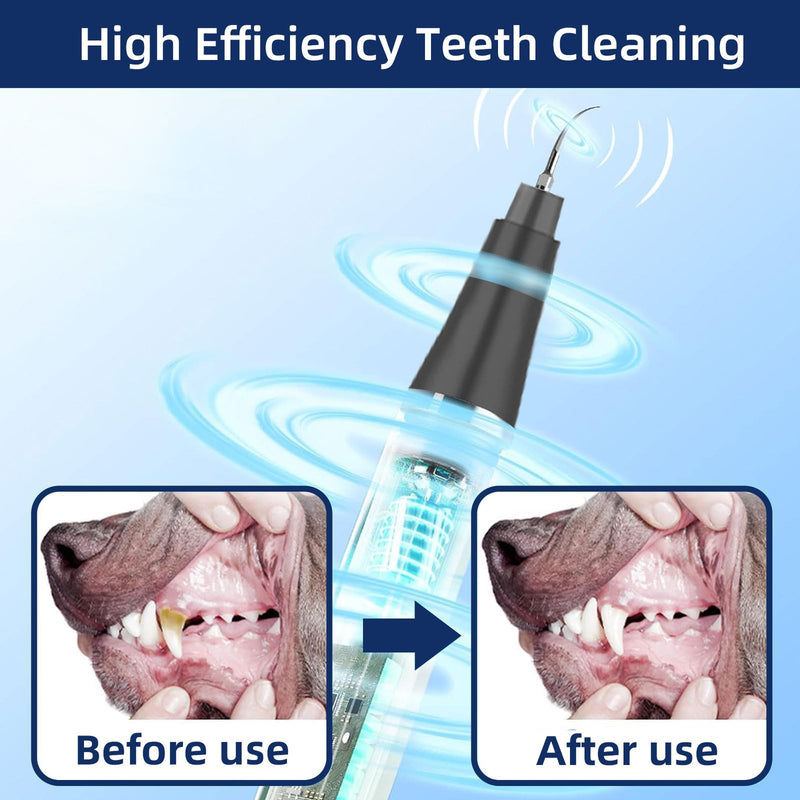 Plaque Remover for Teeth, Pet Ultrasonic Cleaner, Dog Plaque and Tartar Remover with LED Light, Dog Teeth Cleaning Dental Care Kit for Tartar and Stains, Suitable for Dogs and Cats (Black) Black - BeesActive Australia