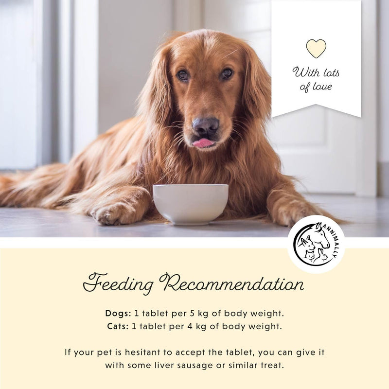 Annimally Vitamin B Complex for Dogs & Cats Tablets 120 pcs. - Daily Supplement with Folic Acid, Vitamin K, L-Tryptophan & Brewer’s Yeast, Made in Germany