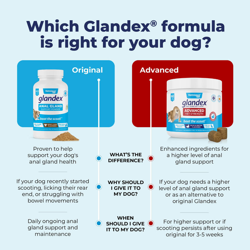 Glandex Dog Fiber Supplement Powder for Anal Glands with Pumpkin, Digestive Enzymes & Dog Probiotics for Digestive Health - Vet Recommended - Boot The Scoot (Beef Liver, 2.5oz Powder) Beef Liver 2.5 oz - BeesActive Australia