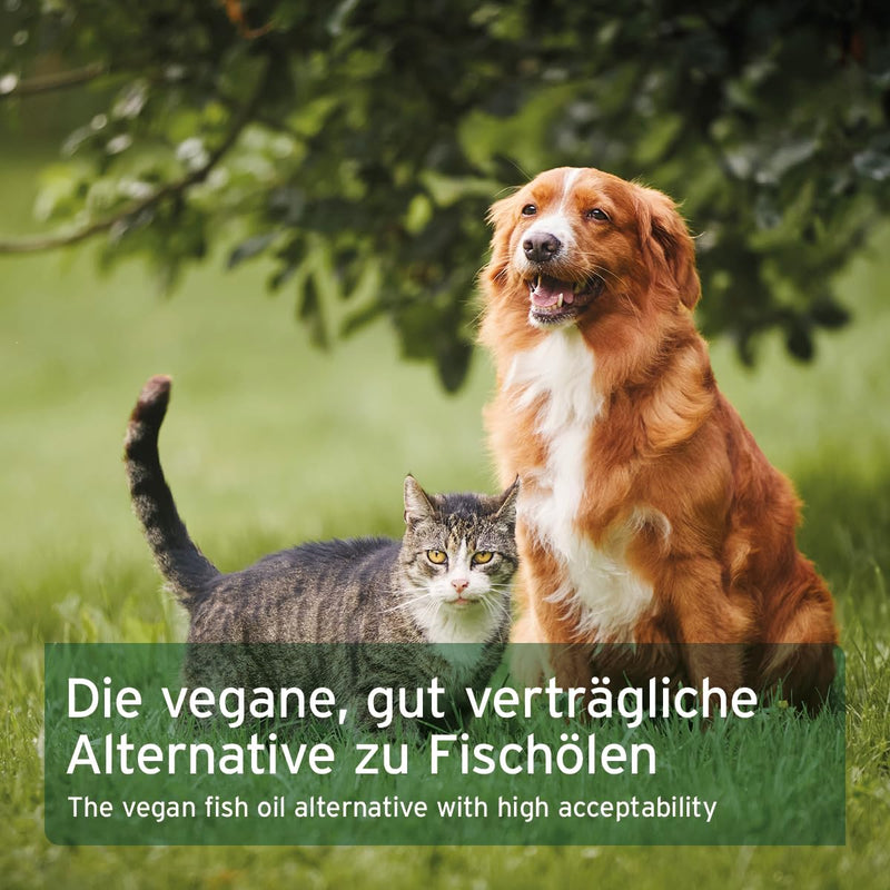 AniForte Algae Oil for dogs & cats 50 ml – Highly concentrated, vegan omega-3 oil to support joints, metabolism, skin & coat