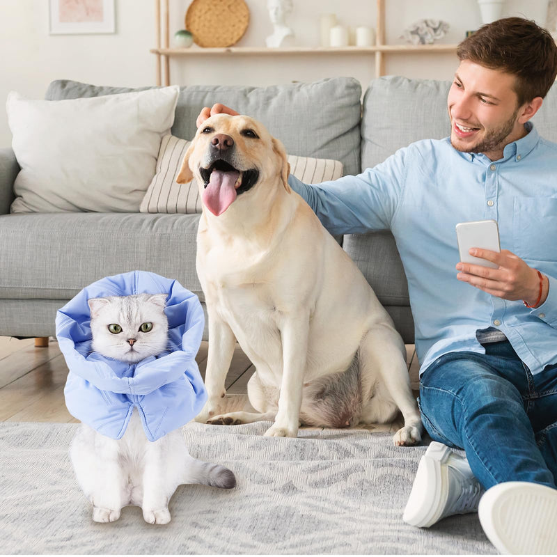 WIYETY Cat recovery collar, neck protection collar for cats, adjustable pet collar, soft cat protective collar, Elizabethan collar, prevent kittens from licking wounds (blue, S) - BeesActive Australia