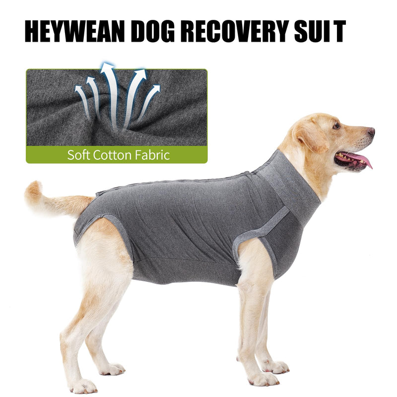 HEYWEAN Dog Bodysuit After Surgery Body Dog Castration Bitch Dog Surgery Body Male Castration Body Dogs After Surgery Suit Dog Surgical Body Dog Medical Body for Dogs Castration Body Wound Protection Suit Dog M Grey - BeesActive Australia