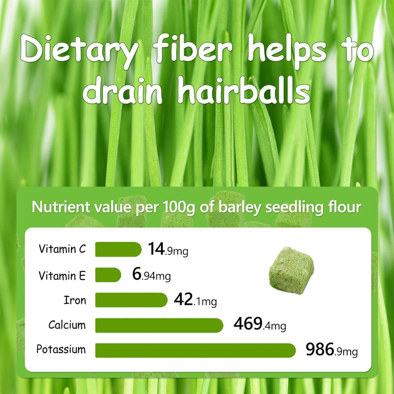 HavenJanny 60g Cat Grass Treats for Cat, Freezed Drying Cat Grass Teething Stick Snacks for Cats, Edible Cat Chew Toys for Teeth Cleaning and Hairball Removal 2.11ounce - BeesActive Australia