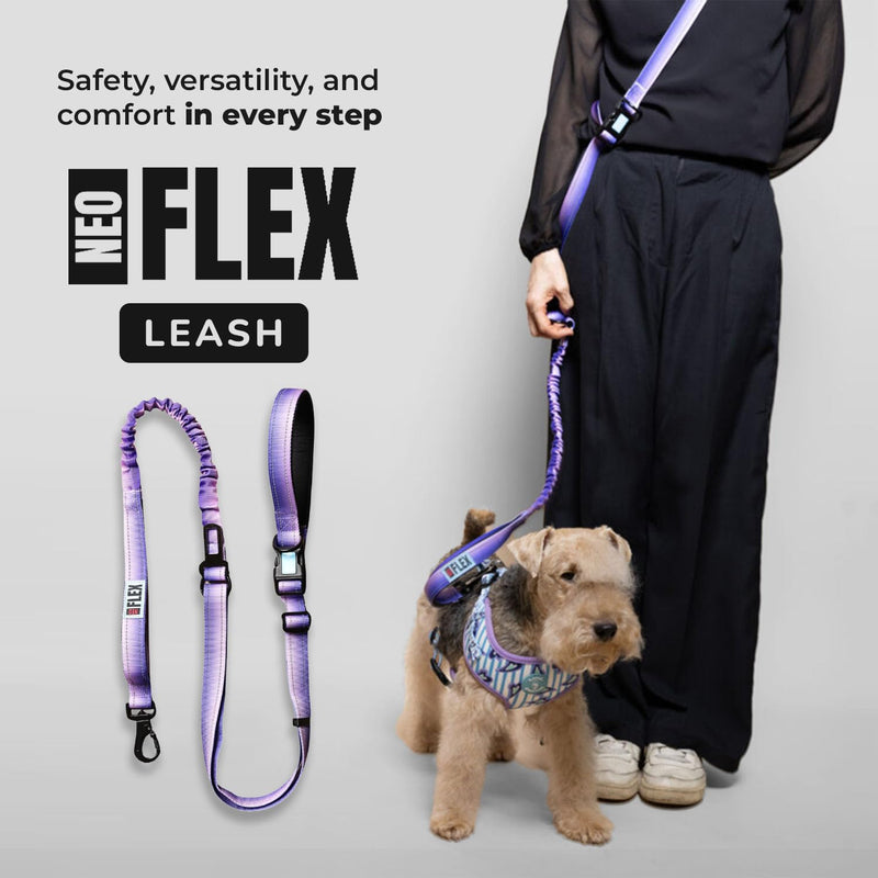 NeoFlex Premium Dog Leash - Stylish Leash for Medium, Small & Large Dogs - Heavy Duty, Wearable Design for You & Dog - Ideal for Pulling Dogs & Large Breeds - Durable & Comfortable - Purple