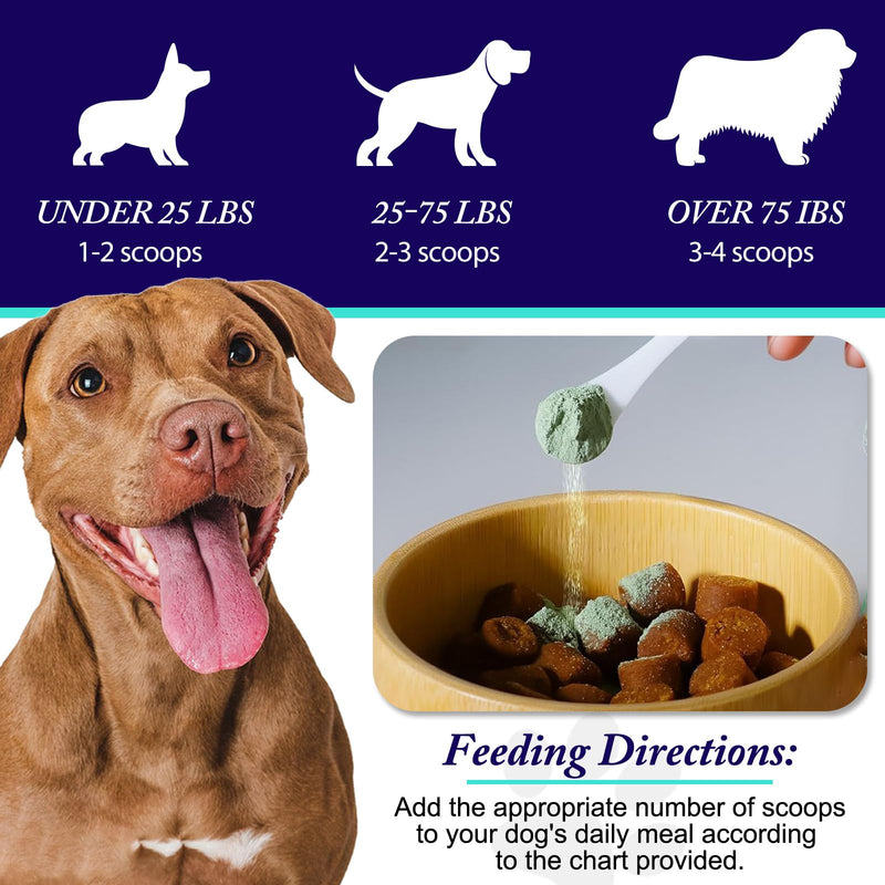 Dog Teeth Cleaning Powder - Dog Dental Powder - Dog Breath Freshener - Targets Tartar & Reduces Plaque & Bad Breath - Teeth Cleaning Made Easy Eliminate - Formulated for Small, Medium, Large Dogs white - BeesActive Australia