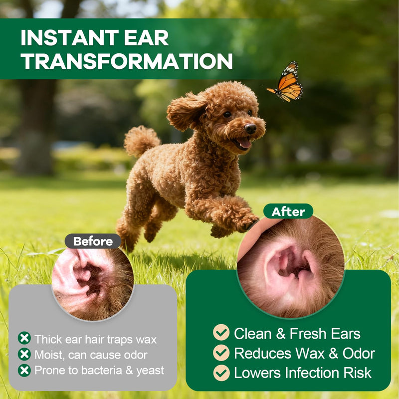 Dog Ear Powder for Hair Removal 30g – Gentle Zinc Oxide Ear Hair Removal Powder for Cleaner Ear Care, Moisture Absorption, Better Grip & Easy Grooming for Poodles, Schnauzers, Bichons and More 1 Pack