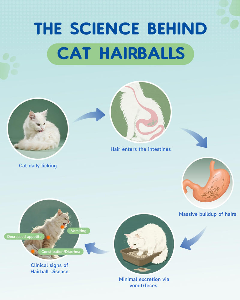 Cat & Dog Wellness Duo - Hairball Relief Drops - Immune Support Mushroom Powder – Complete Health Care for Your Pets
