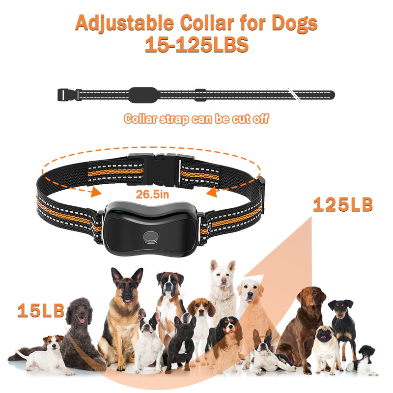Dog Shock Collar with Remote Control 3300 FT Range, Dog Training Collar with Remote, 3 Training Modes, IPX7 Waterproof Rechargeable E-Collar Fit for Dogs 15-125 LBS - BeesActive Australia