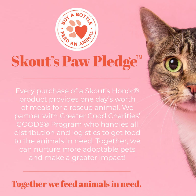 SKOUT'S HONOR Pet Grooming Wipes for Dogs and Cats - Deodorizing, Plant-Based, Biodegradable, Fragrance-Free - for Paws, Faces, Skin Folds & Bums, 80 Count 1- Pack - PawsPlanet Australia
