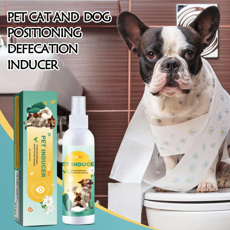 Dog Potty Training Spray,Potty Here Spray for Dogs for Indoors & Outdoor,Training Spray for Dogs to Pee in One Spot,Prevent Your Pet from Soiling The Carpet,120ML - BeesActive Australia