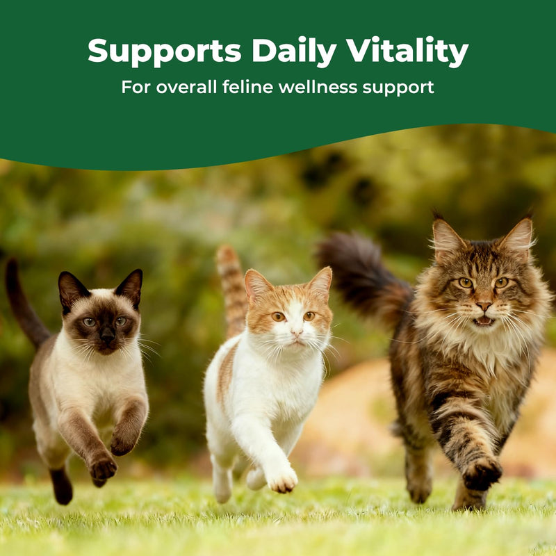 Thyroid Support Drops for Cats, Appetite Stimulant for Cats with Bladderwrack, Astragalus, Eleuthero & Nettle, Metabolic Balance, Weight Support & Daily Vitality, Liquid Herbal Cat Supplement, 2 fl oz