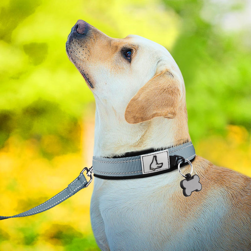 Joytale Dog Collar, Soft Padded Neoprene Collars for Small Dogs, Nylon Reflective Wide Collar Dog, Gray S (Pack of 1) - BeesActive Australia