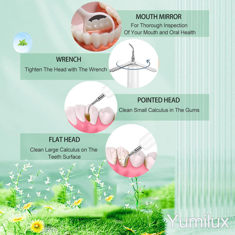 Professional Plaque Remover for Teeth, Teeth Cleaner Tool with Intelligent and Secure Sensor Technology, 4 Replaceable Heads 5 Modes, OLED Light & Oral Mirror, Rechargeable Teeth Cleaning Kit For Home - BeesActive Australia
