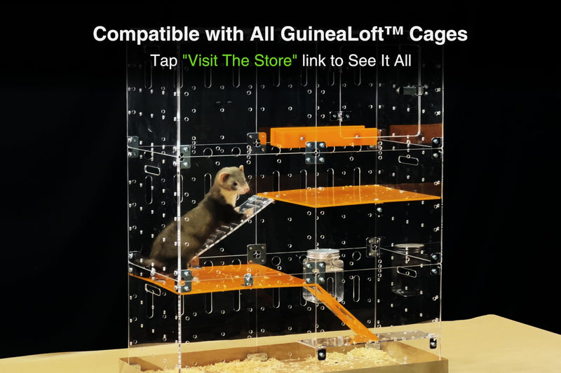 GuineaLoft™ Food Feeder Yellow - Say Goodbye to Traditional Bowls! Ultimate Feeder for Small Pets Like Guinea Pigs, Rabbits and Chinchillas. Designed & Made by Seasoned Owners - GuineaLoft Exclusive - BeesActive Australia