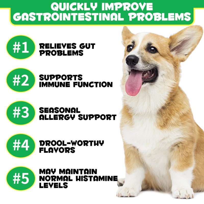 Probiotic for Dogs -Tasty Dog Treats with Natural Ingredients, Digestive Health and Immune Support, Soft Chews with Enzymes & Pumpkin – Duck Flavor – 120 Count – For All Breeds & Ages.