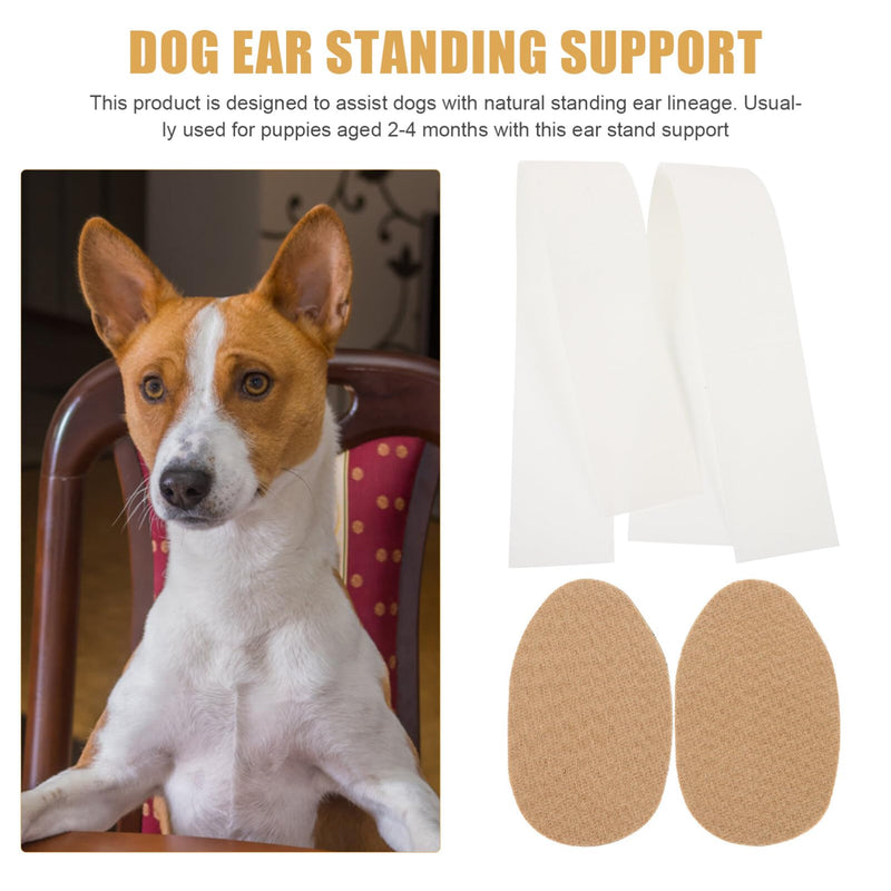 Ipetboom Dog Ear Posting Kit, Dog Ear Stand Sticker Up Support Tool Dog Ear Fixed Correction Vertical Holder for Corgi Small Doberman 1 Pair - PawsPlanet Australia