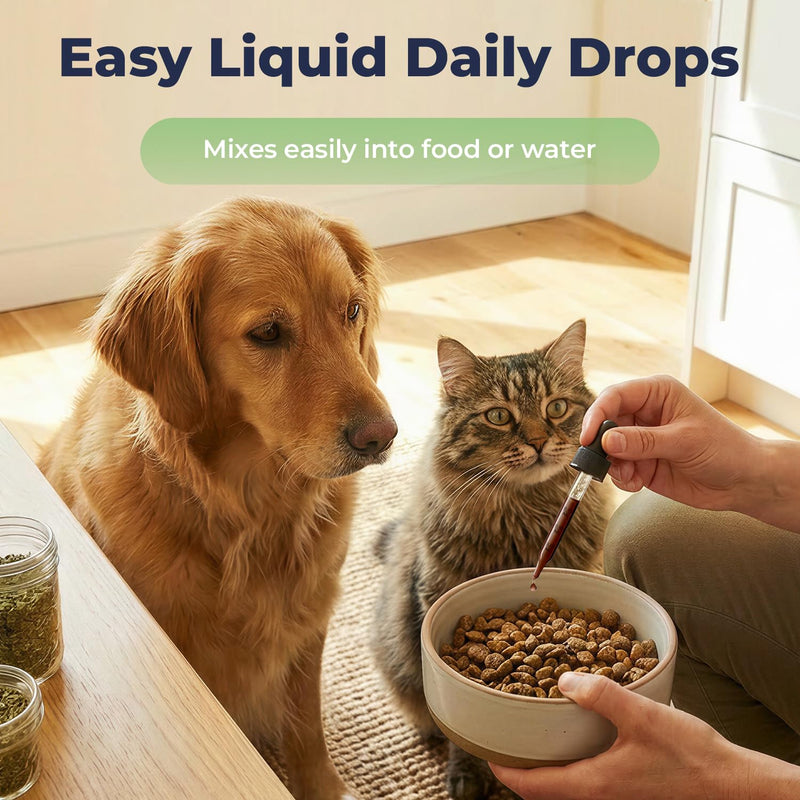 Dandelion Extract Drops for Dogs & Cats – Root & Leaf Herbal Support for Liver, Digestion & Fluid Balance, Daily Internal Balance Support, Liquid Pet Supplement, 2 fl oz