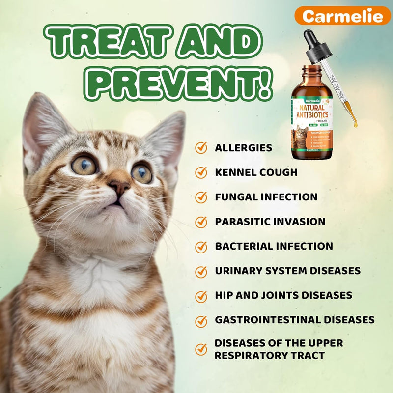 Antibiotics for Cats - Natural Cat Antibiotics for Allergy Itch Relief, Immune Boosting - Antibiotics for Immune Boosting, Urinary Tract Infections - Supplemental Vitamins for Cat and Dog, 2 fl oz - BeesActive Australia