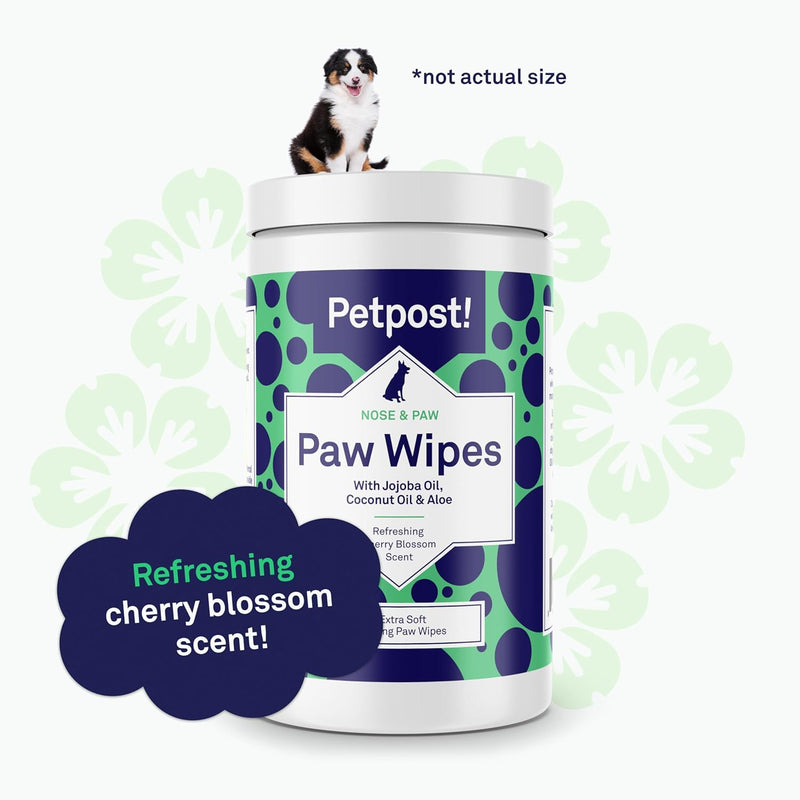 Petpost | Paw Wipes for Dogs - Nourishing, Revitalizing Dog Paw Cleaner with Coconut Oil, Jojoba Oil, and Aloe - Ultra Soft Cotton Pads - Cherry Blossom Scent 70 ct. - BeesActive Australia