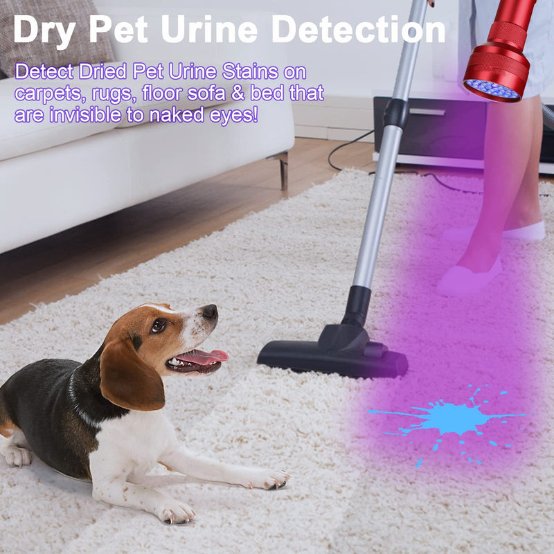 UV Flashlight Black Light, 51 LED Mini Blacklight Flashlite Pet Urine Detector for Dry Dog/Cat Pee Urine Stains Detection Cleaner, Bed Bug, Scorpions Hunting - BeesActive Australia