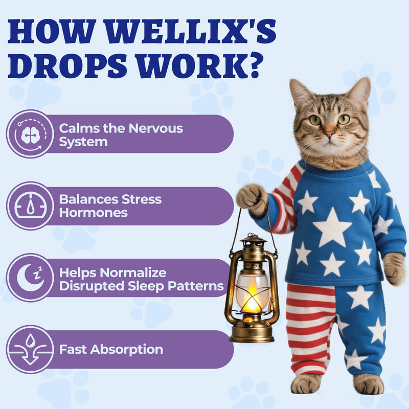 Wellix 4oz Larger Volume Melatonin for Dogs&Cats – Liquid Melatonin Drops, Sleep Aid, Dog Calming for Hyper Dogs, Cat & Dog Sedative for Grooming, Stress Relief, Bacon Flavor