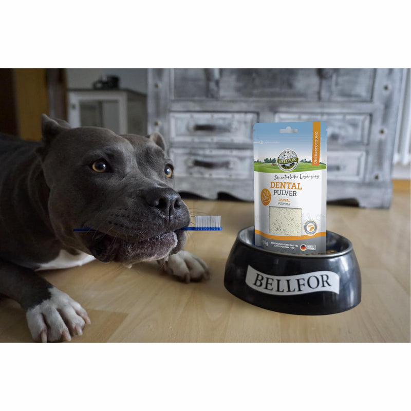 Bellfor Natural Dental Powder Against Tartar Easy to use and dose Excellent Digestibility Suitable for All Breeds of Dog Dental Powder - 80 g