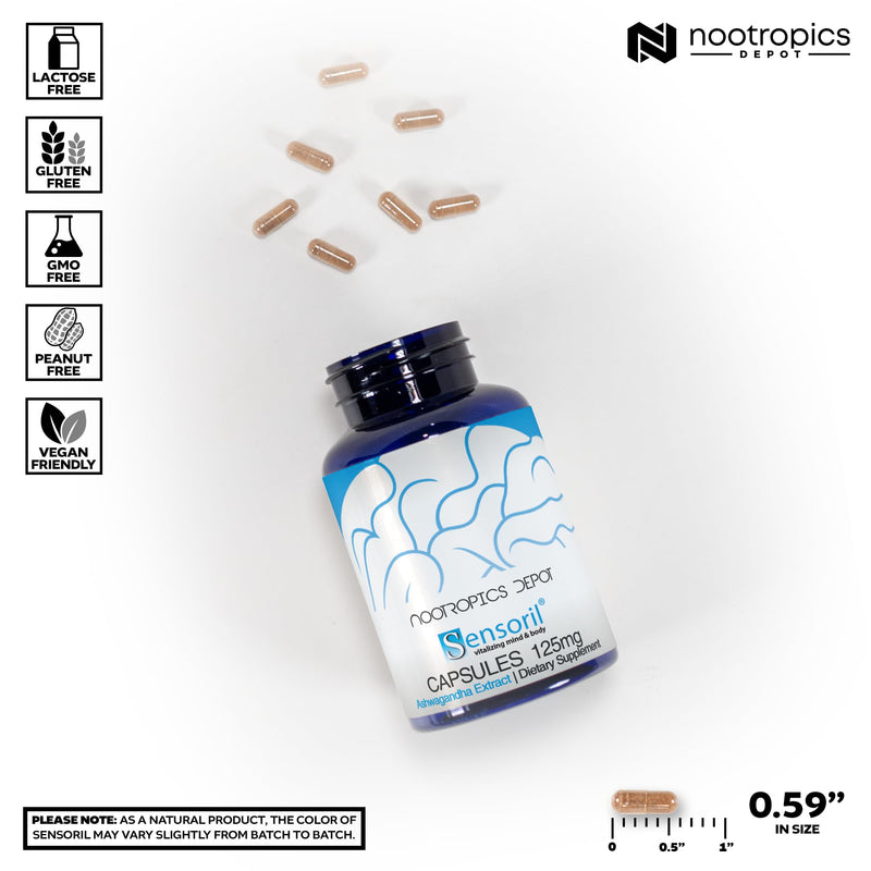 Nootropics Depot Sensoril Ashwagandha Capsules | 125mg | 90 Count | Ayurvedic Herb | Standardized Withania somnifera Extract 90 Count (Pack of 1)