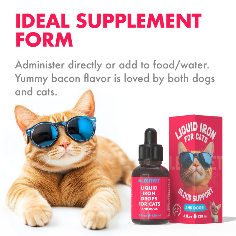 Liquid Iron Supplement for Cats & Dogs B12 + B-Complex + Probiotics Liquid Iron Vitamin Drops for Anemia & Low Energy Promotes Red Blood Cell Health All Ages & Breeds Bacon Flavor 4 oz