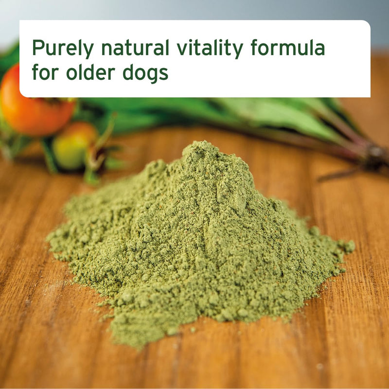 AniForte Senior Active Powder 250g for Older Dogs - Minerals, Amino Acids & Vitamins for Dogs, Supports Memory & Heart Function, Green-Lipped Mussel for Vitality & Agility, Seniors Food Supplement