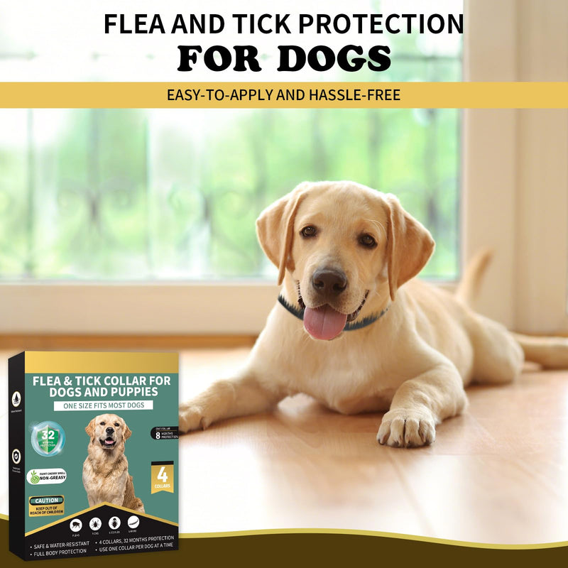 Flea Collar for Dogs 4 Pack, 32 Months Comfort Flea and Tick Prevention, Waterproof Dog Flea and Tick Collar, Adjustable Flea and Tick Treatment for Dogs - One Sizes Fit All (Black)