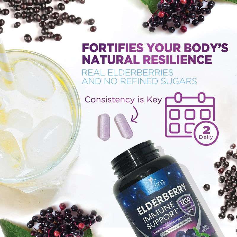 European Elderberry Fruit Extract 1200mg Per Serving Capsules - Sambucus Immune Support with Concentrated Sambucus Black Elderberry Extract, Antioxidant Vitamin Supplement, USA Bottled - 60 Capsules 60 Count (Pack of 1)