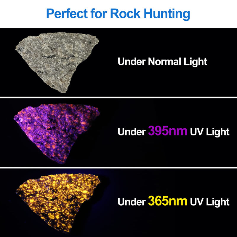 Vansky X7 Pro 365nm UV Light Blacklight Flashlights: LED Black Light Flashlite Professional Ultraviolet Flashlight Pet Urine Detector for Dog Cat, Resin Curing and Rock Hunting(Batteries are Included) - BeesActive Australia