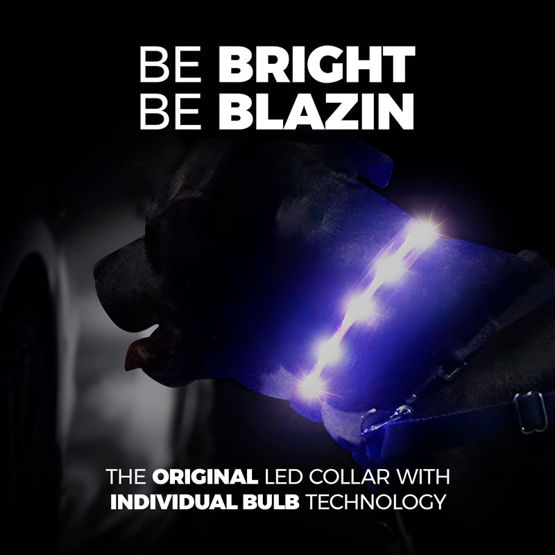 Blazin Brightest Light Up Dog Collars - The Original LED Dog Collar with 1,000 Feet of Visibility - USB Rechargeable Waterproof Dog Collar Light - Dog Lights for Night Walking - USA Brand Large (Pack of 1) Green - BeesActive Australia