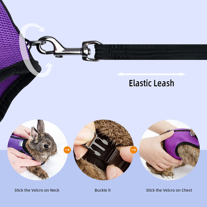 Niteangel Adjustable Soft Harness with Elastic Leash for Rabbits (L, Blue) L - BeesActive Australia
