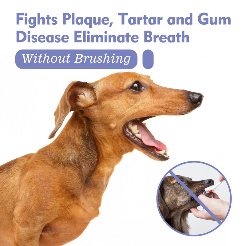 JoanofArc Dog Dental Care Spray, Pet Oral Spray, Breath Freshener & Teeth Cleaning Spray, Oral Spray Bad Breath, Reduce Plaque & Tartar, No Brushing Required Teeth Treatment Spray, 1.01 Fl Oz