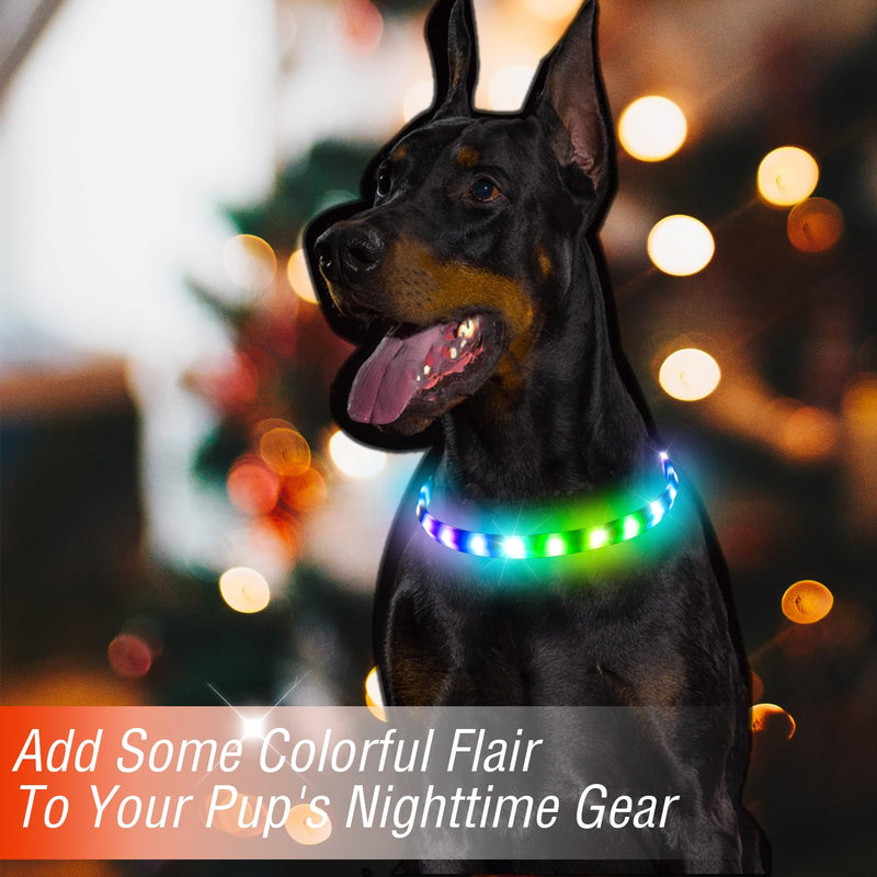 Dog Light Up Collar,Multicolor LED Dog Collar Rechargeable USB C,Rainproof Lighted Dog Glow Collar for Night Walking Cuttable for Large Medium Small Dogs Pet - BeesActive Australia
