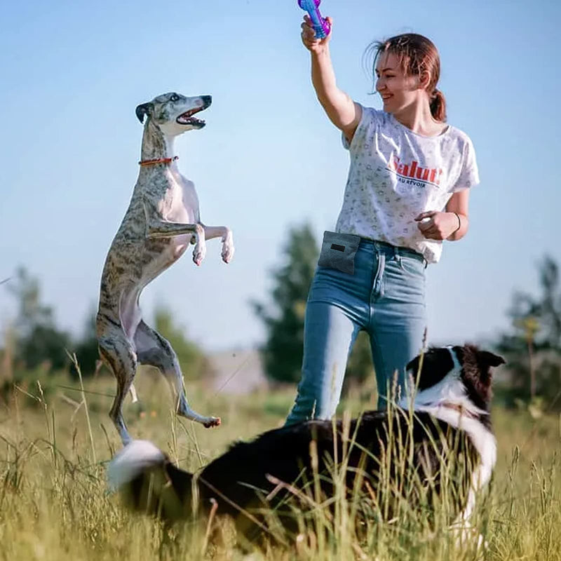Dog Treat Pouch, Small Doggie Puppy Treat Snack Bags Reward Pouch, Hand-Free Dog Treat Pouch Magnetic Closure, Use for Outdoor Short Walking - Grey - BeesActive Australia