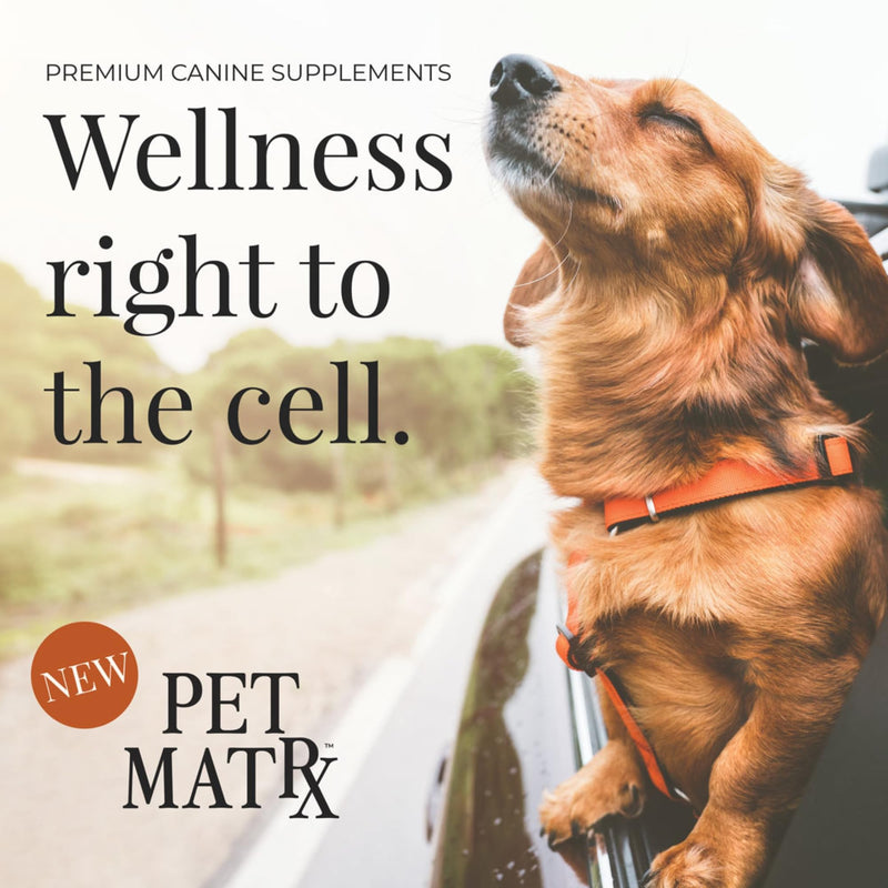 Move Joint Health Dog Supplement with Bovine Collagen - Sooth Pain from Inflammation and Support Dog's Immune System with Antioxidants (Large/X-Large Breed) Large/X-Large Breed