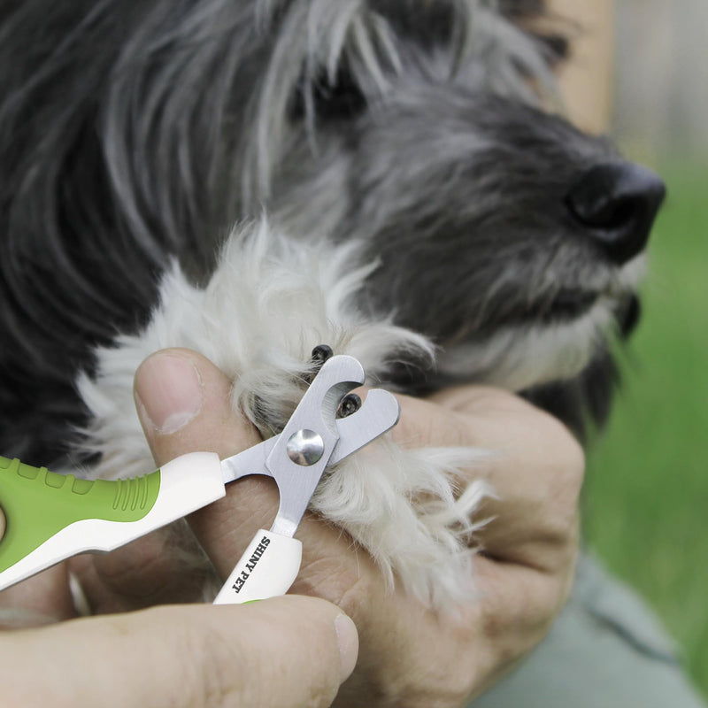 Pet Nail Clippers for Small Animals - Best Cat Nail Clippers & Claw Trimmer for Home Grooming Kit - Professional Grooming Tool for Tiny Dog Cat Bunny Rabbit Bird Puppy Kitten Ferret - Ebook Guide Angled - BeesActive Australia