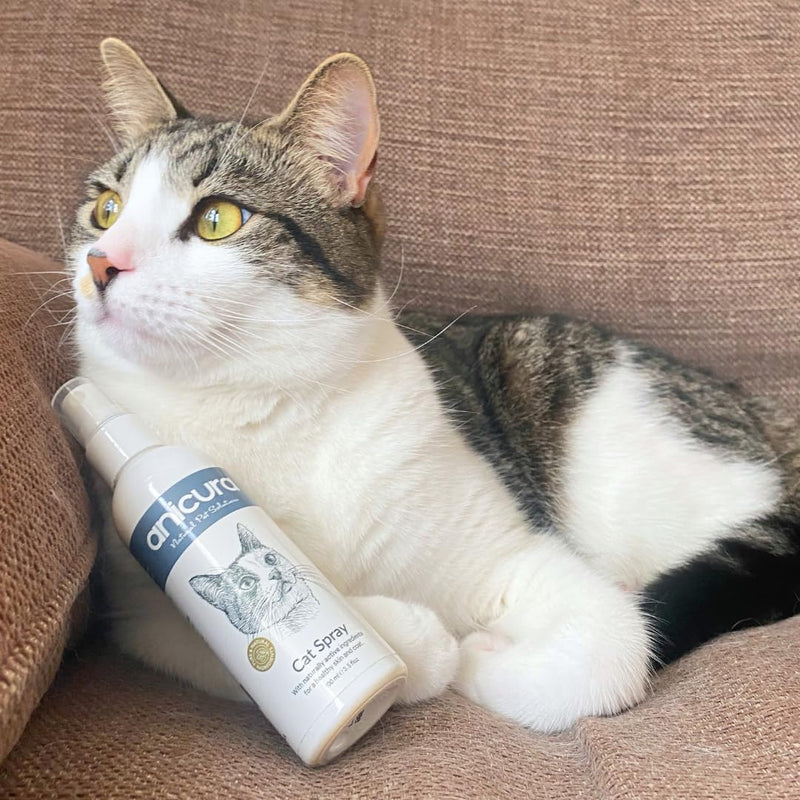 Anicura Natural Cat Spray, Soothe Itchy, Irritated Skin, Allergies, Dermatitis, Dry Patches & Redness. Relief for Scratching, Licking & Discomfort. Safe for Sensitive Skin. Value Bundle (2×100ml pack)